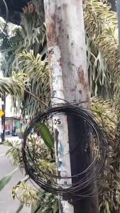 Kominfo Magetan Perangi Kabel Semrawut, LIRA Magetan Perangi Tindakan Yang Tidak Komit