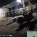 *Solar ilegal atau Bisnis Legal? Lapak Mancak Diuji “Jatah Bensin” dan Kedatangan Motor Dinas*